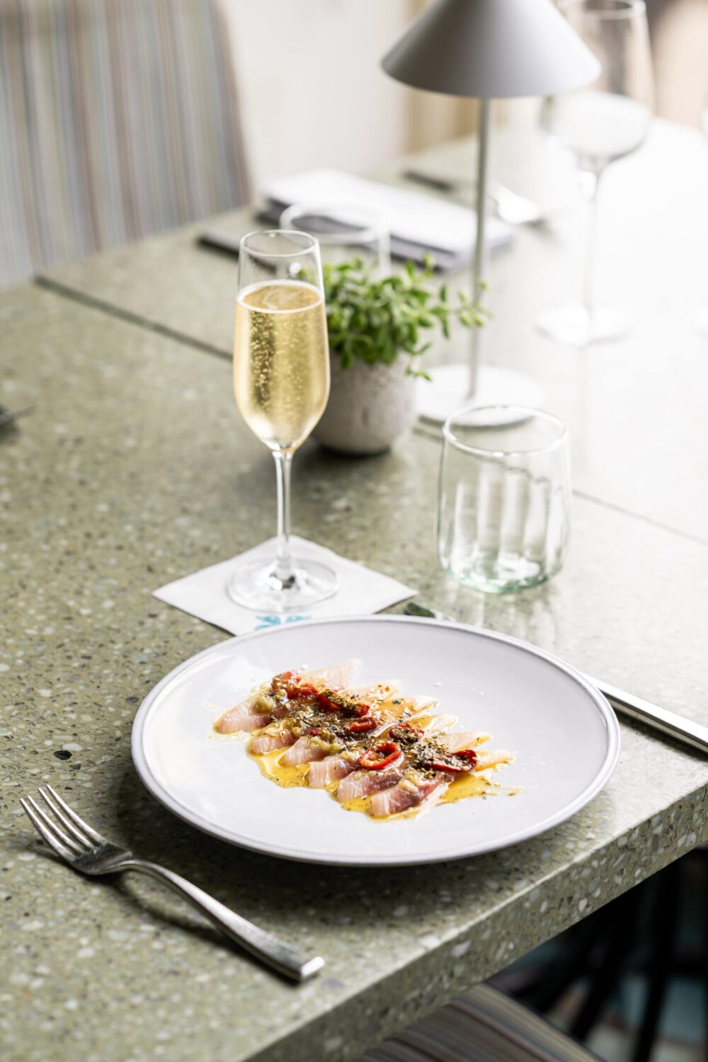 Plate of sashimi with a glass of champagne on a speckled countertop, accompanied by a small plant.